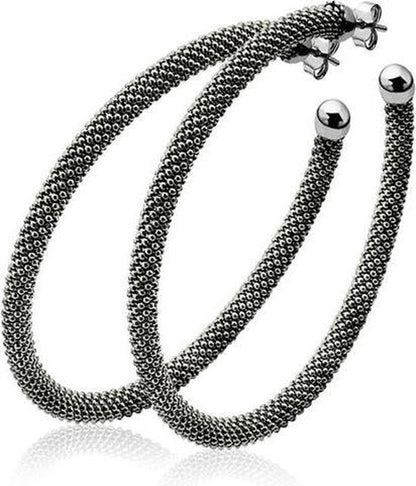 Prachtige Zinzi Steekoorringen - Zilver