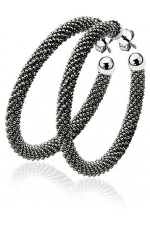 Prachtige Zinzi Steekoorringen - Zilver